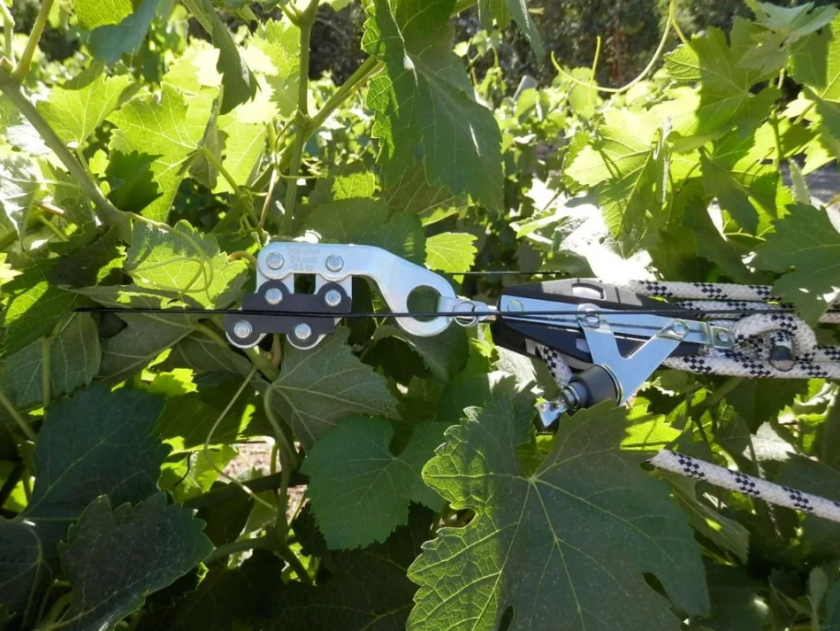 Tensor y gripple sobre un cable AGROPET tensado en viñedo