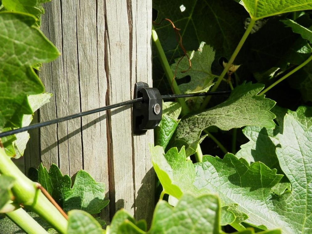 Fijación de cable AGROPET en un poste de madera